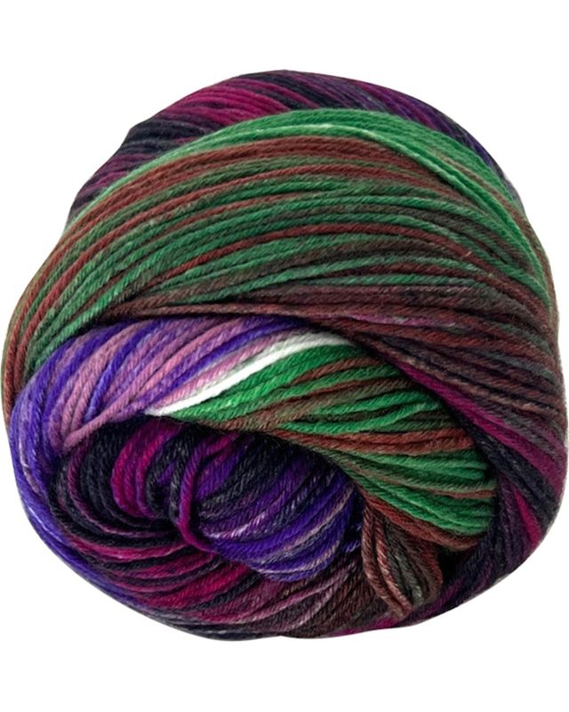 885204 Solvej Nordlys