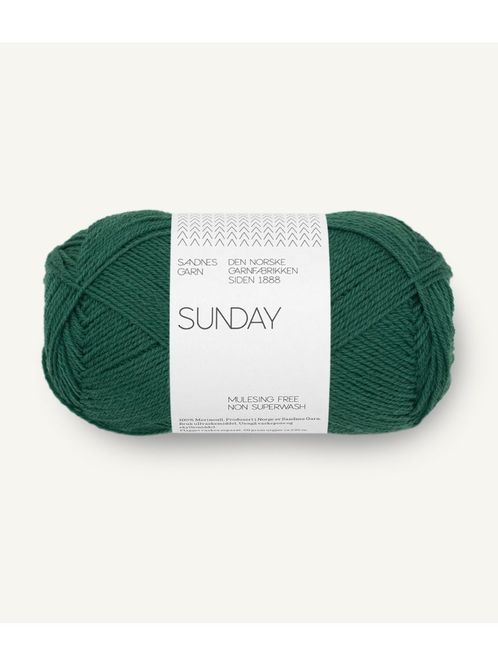 Hovedbilde Sunday 7772 Rain Forest